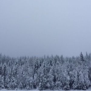 Meet your Posher, Stella